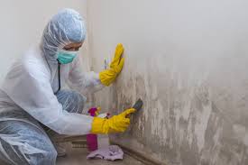 Best Residential Mold Inspection & Testing  in Mineola, NY